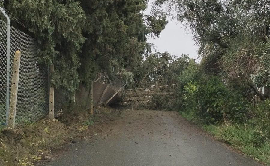 WhatsApp Image 2026-02-04 at 09.43.13