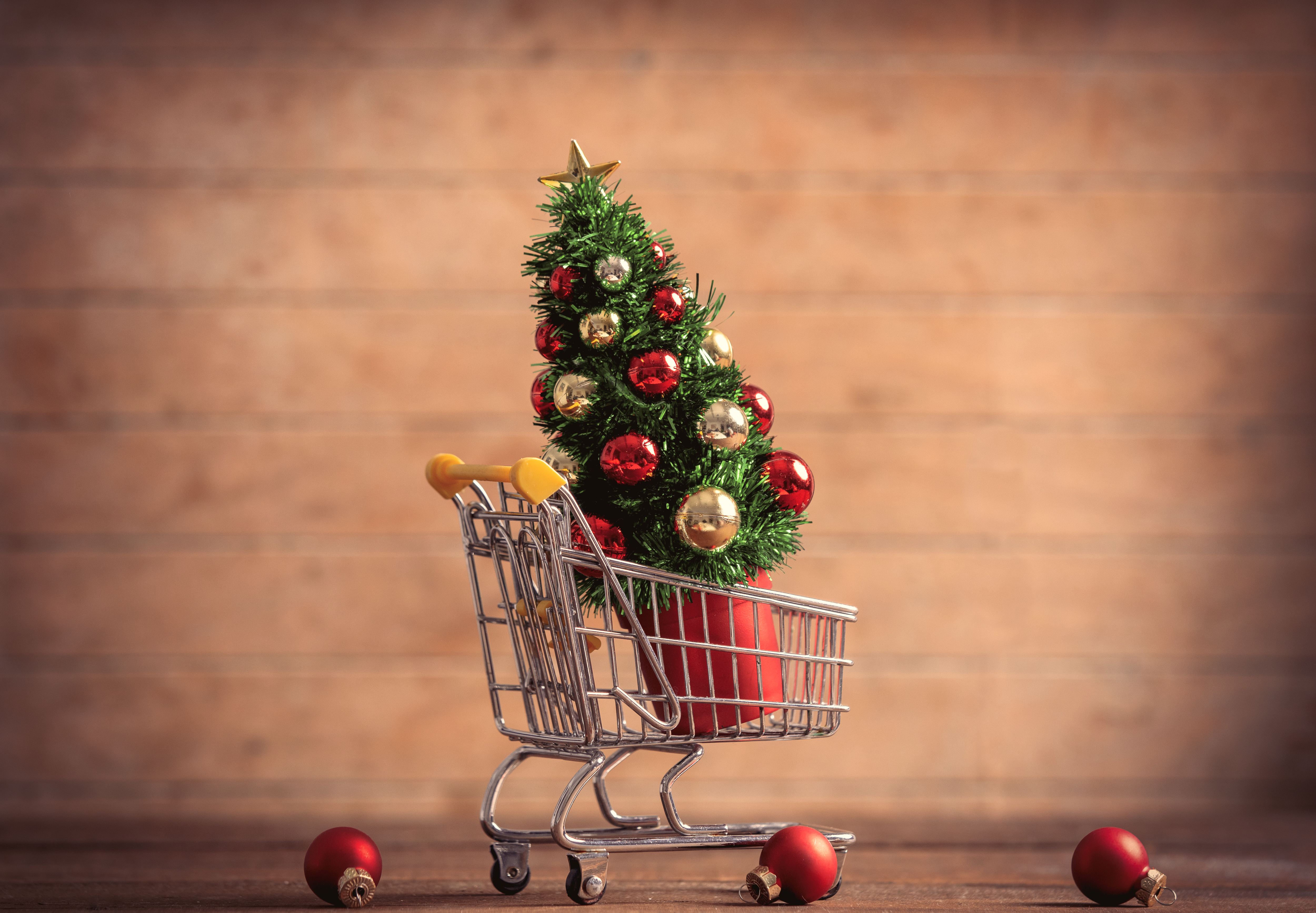 little-christmas-tree-in-supermarket-cart-on-woode-2024-09-25-01-02-31-utc