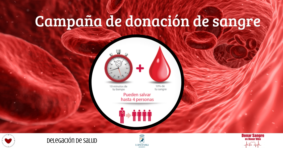 Resultado de imagen de donacion de sangre