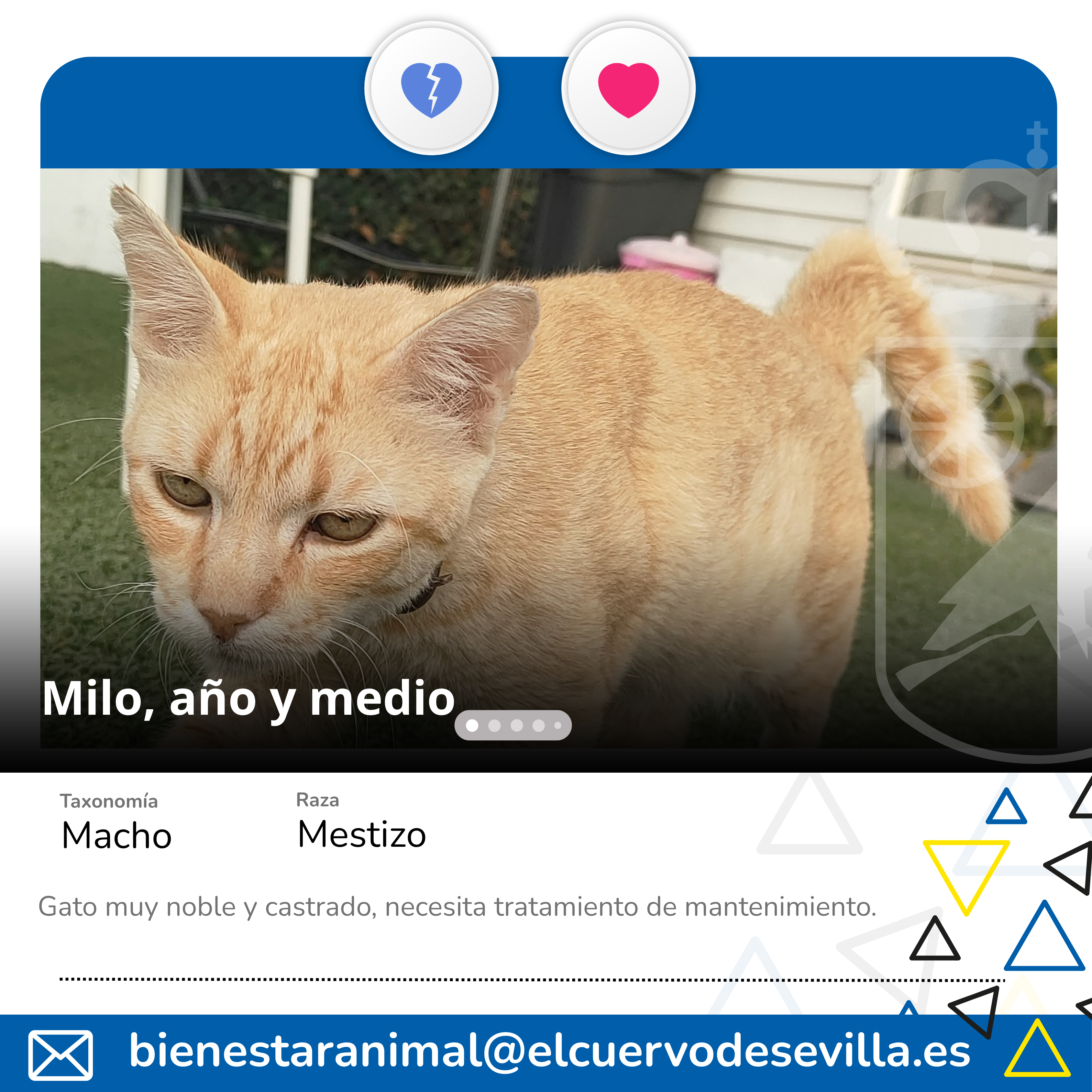 ADOPCIÓN 