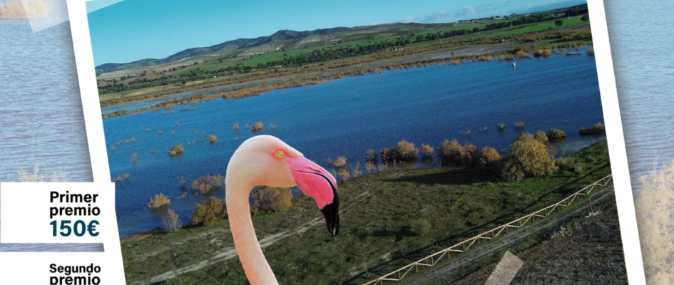 Concurso fotografico Laguna_Mesa de trabajo 1-02