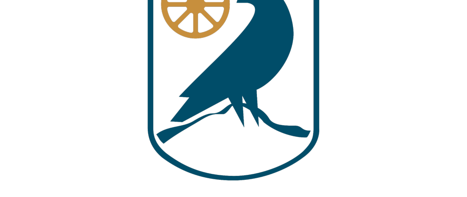 V-PREFERENTE VERTICAL