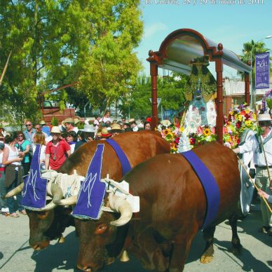Cartel Romería año 2011