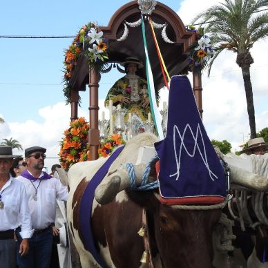 Fotografía cedida por Juan Manuel Sánchez Sánchez