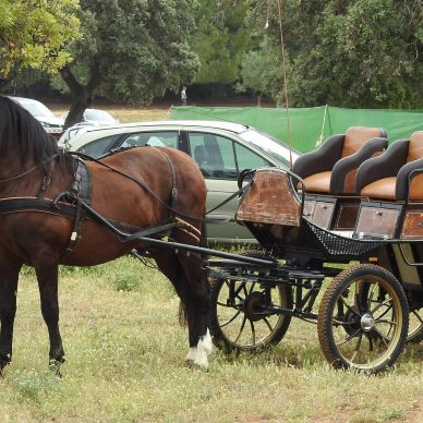 Fotografía cedida por Juan Manuel Sánchez Sánchez