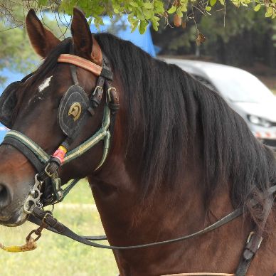 Fotografía cedida por Juan Manuel Sánchez Sánchez