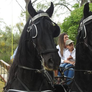 Fotografía cedida por Juan Manuel Sánchez Sánchez
