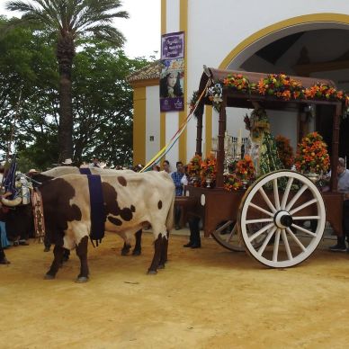 Fotografía cedida por Juan Manuel Sánchez Sánchez