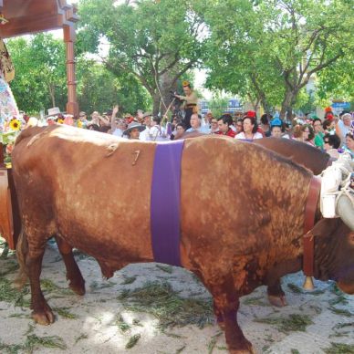 Sábado de Romería Año 2010 - 50 Aniversario de la Romería