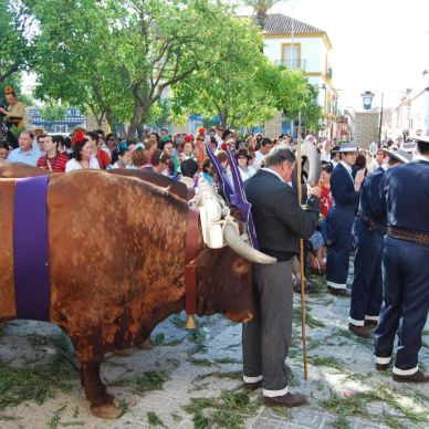 Sábado de Romería Año 2010 - 50 Aniversario de la Romería