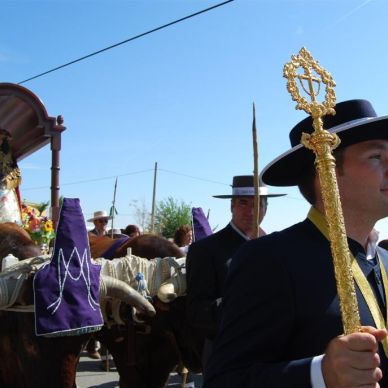 Sábado de Romería Año 2010 - 50 Aniversario de la Romería