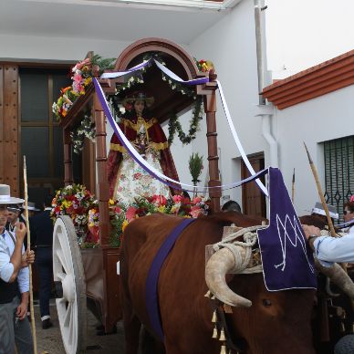 Romería de El Cuervo, año 2011