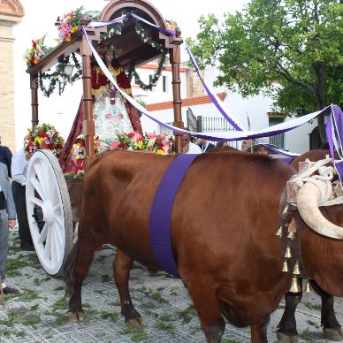 Romería de El Cuervo, año 2011
