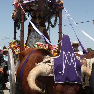 Romería de El Cuervo, año 2011