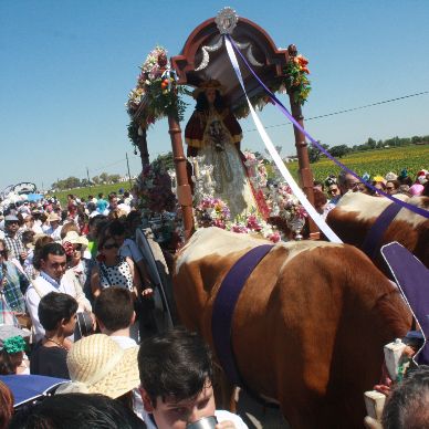 Romería de El Cuervo, año 2016