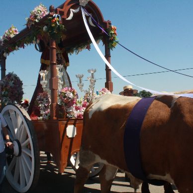 Romería de El Cuervo, año 2016