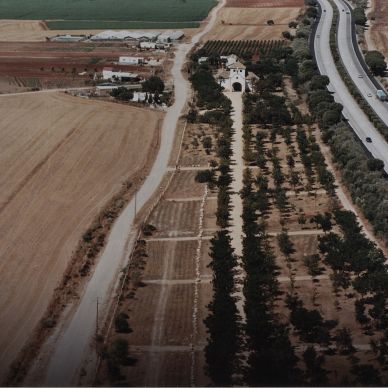 Romería de El Cuervo, años 90 a 2000