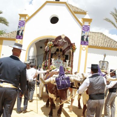 Romería de El Cuervo, año 2014