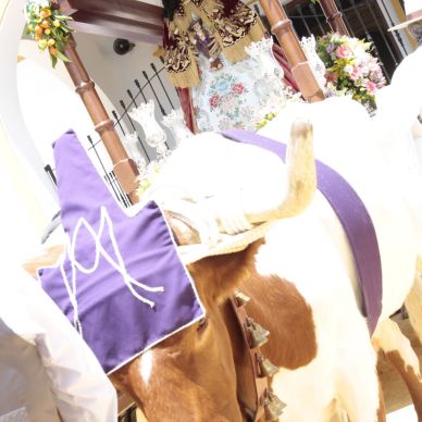 Romería de El Cuervo, año 2014