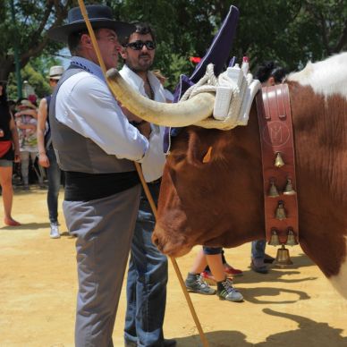 Romería de El Cuervo, año 2014