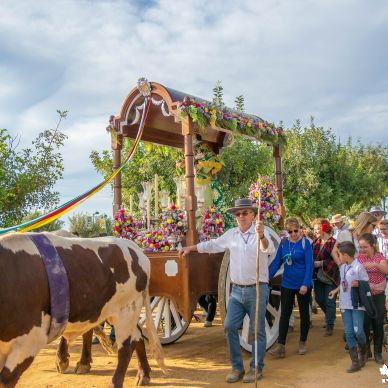 Fotografía cedida por Miguel Ángel Ojeda