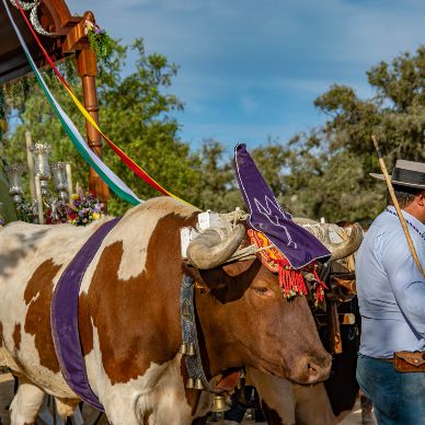 Fotografía cedida por Miguel Ángel Ojeda