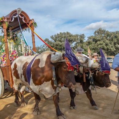 Fotografía cedida por Miguel Ángel Ojeda