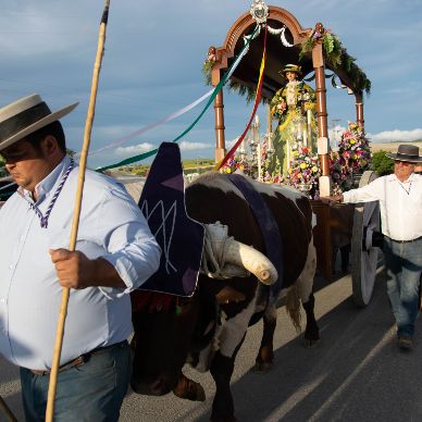 Fotografía cedida por Miguel Ángel Ojeda