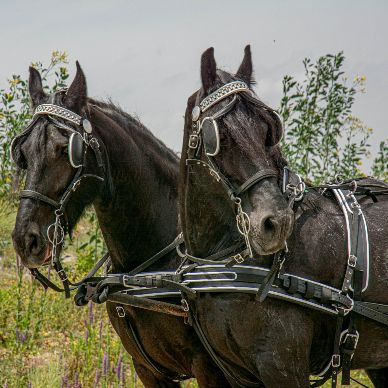 Fotografía cedida por Miguel Ángel Ojeda