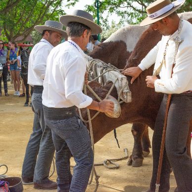 Fotografía cedida por Miguel Ángel Ojeda