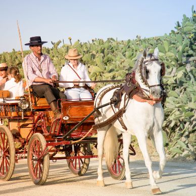 Fotografía cedida por Miguel Ángel Ojeda