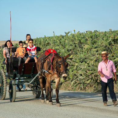 Fotografía cedida por Miguel Ángel Ojeda