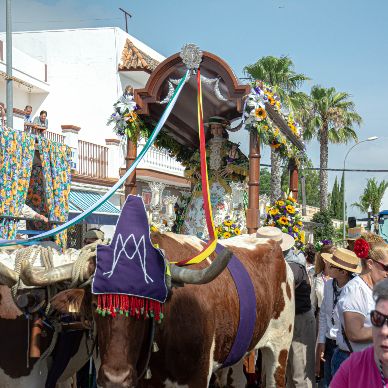 Fotografía cedida por Miguel Ángel Ojeda