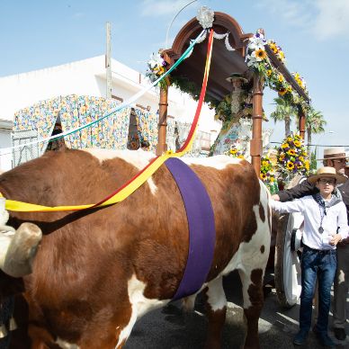 Fotografía cedida por Miguel Ángel Ojeda