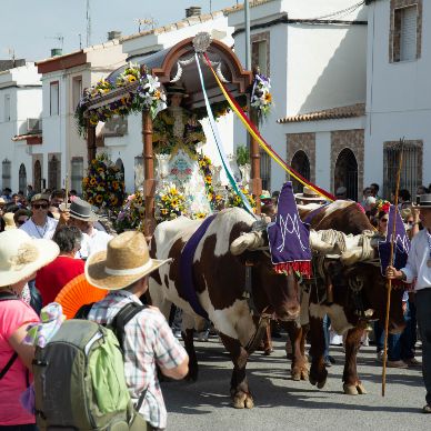 Fotografía cedida por Miguel Ángel Ojeda