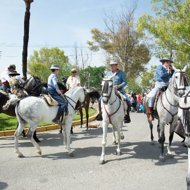 Fotografía cedida por Miguel Ángel Ojeda