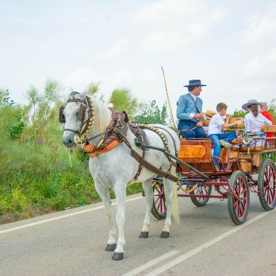 Fotografía cedida por Miguel Ángel Ojeda