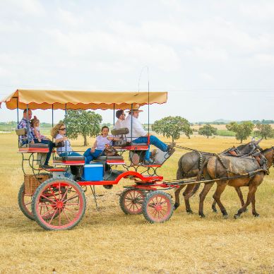 Fotografía cedida por Miguel Ángel Ojeda