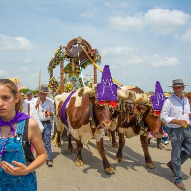 Fotografía cedida por Miguel Ángel Ojeda