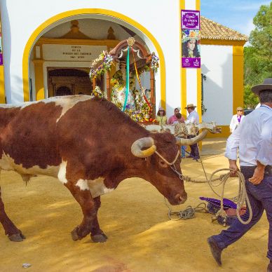 Fotografía cedida por Miguel Ángel Ojeda