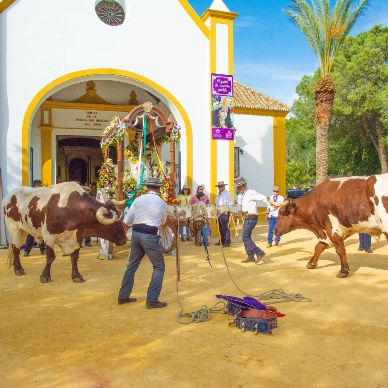 Fotografía cedida por Miguel Ángel Ojeda
