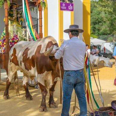 Fotografía cedida por Miguel Ángel Ojeda