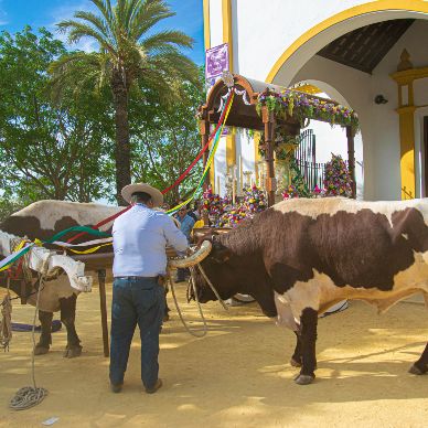 Fotografía cedida por Miguel Ángel Ojeda