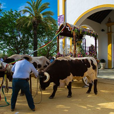 Fotografía cedida por Miguel Ángel Ojeda