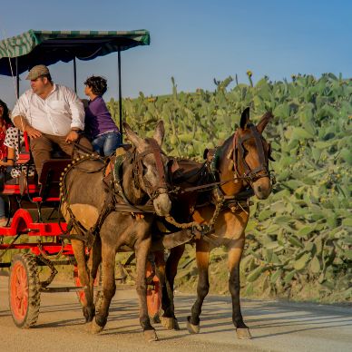 Fotografía cedida por Miguel Ángel Ojeda