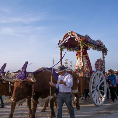 Fotografía cedida por Miguel Ángel Ojeda