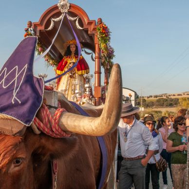 Fotografía cedida por Miguel Ángel Ojeda
